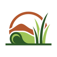 Tucson Turf Installation